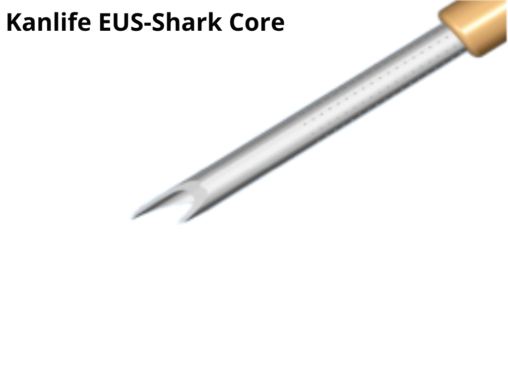 EUS FNB Needle shark core